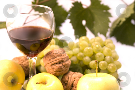 To use this stock image in your creative project, please select the size you need over to the right and click the "Add to Cart" button.
Your downloaded image will come with the Cutcaster watermark removed so don’t worry about the watermark you see on this page. Wine and fruits stock photo, Wine and fruits on white background by Minka Ruskova-Stefanova