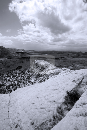 To use this stock image in your creative project, please select the size you need over to the right and click the "Add to Cart" button.
Your downloaded image will come with the Cutcaster watermark removed so don’t worry about the watermark you see on this page. Looking down the Sandstones in to Snow Canyon - Utah stock photo, Snow Canyon in St. George, Utah - Sandstones - Black and White by Mehmet Dilsiz