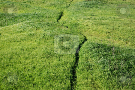 To use this stock image in your creative project, please select the size you need over to the right and click the "Add to Cart" button.
Your downloaded image will come with the Cutcaster watermark removed so don’t worry about the watermark you see on this page. Grassy Field 3 stock photo, by Kristine Keller