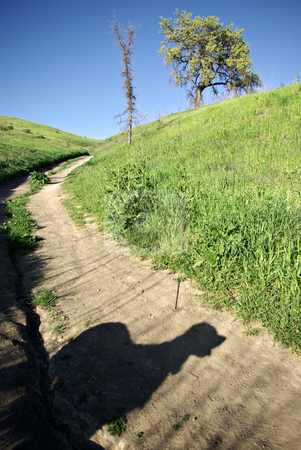 To use this stock image in your creative project, please select the size you need over to the right and click the "Add to Cart" button.
Your downloaded image will come with the Cutcaster watermark removed so don’t worry about the watermark you see on this page. Dog Shadow stock photo, A dog's shadow on a trail. by Kristine Keller
