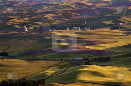 To use this stock image in your creative project, please select the size you need over to the right and click the "Add to Cart" button.
Your downloaded image will come with the Cutcaster watermark removed so don’t worry about the watermark you see on this page. Steptoe Sunset stock photo, Sunset light casts shadows over the Palouse Hills with the town of Steptoe in the distance by Mike Dawson