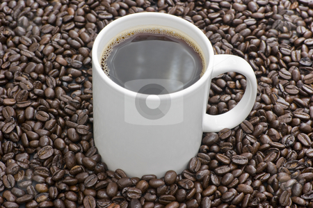 To use this stock image in your creative project, please select the size you need over to the right and click the "Add to Cart" button.
Your downloaded image will come with the Cutcaster watermark removed so don’t worry about the watermark you see on this page. Coffee Cup stock photo, Fair Trade Pure Columbian whole coffee beans and white cup by Stephen Meese