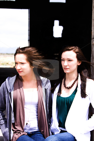 To use this stock image in your creative project, please select the size you need over to the right and click the "Add to Cart" button.
Your downloaded image will come with the Cutcaster watermark removed so don’t worry about the watermark you see on this page. Teeangers Posing stock photo, Two Teenagers Posing in an Old Building by Mehmet Dilsiz