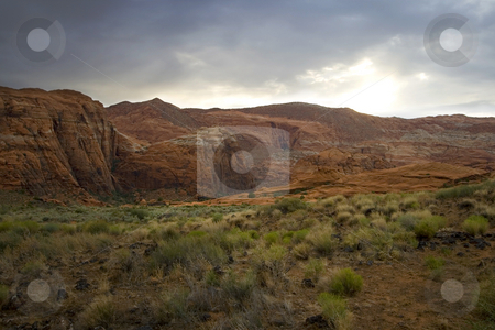 To use this stock image in your creative project, please select the size you need over to the right and click the "Add to Cart" button.
Your downloaded image will come with the Cutcaster watermark removed so don’t worry about the watermark you see on this page. Snow Canyon - Utah stock photo, Snow Canyon in St. George, Utah by Mehmet Dilsiz