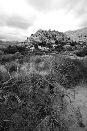 To use this stock image in your creative project, please select the size you need over to the right and click the "Add to Cart" button.
Your downloaded image will come with the Cutcaster watermark removed so don’t worry about the watermark you see on this page. Snow Canyon - Utah stock photo, Snow Canyon in St. George, Utah by Mehmet Dilsiz