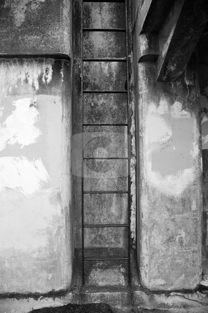 To use this stock image in your creative project, please select the size you need over to the right and click the "Add to Cart" button.
Your downloaded image will come with the Cutcaster watermark removed so don’t worry about the watermark you see on this page. Fort Worden Bunker stock photo, Ladder at Fort Worden military bunker in Port Townsend Washington. by Travis Manley