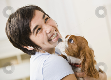 To use this stock image in your creative project, please select the size you need over to the right and click the "Add to Cart" button.
Your downloaded image will come with the Cutcaster watermark removed so don’t worry about the watermark you see on this page. Woman Holding Dog stock photo, A woman is holding a puppy and smiling at the camera. Horizontally framed shot. by Jonathan Ross