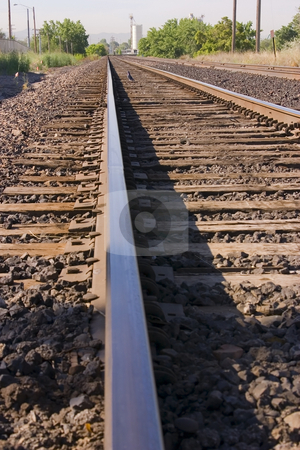 To use this stock image in your creative project, please select the size you need over to the right and click the "Add to Cart" button.
Your downloaded image will come with the Cutcaster watermark removed so don’t worry about the watermark you see on this page. Bird on the Railroad Tracks stock photo, Close up on Railroad Tracks with a Bird in the middle by Mehmet Dilsiz