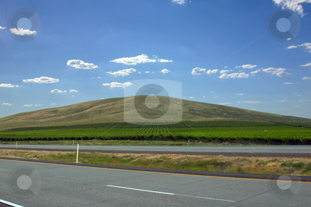 To use this stock image in your creative project, please select the size you need over to the right and click the "Add to Cart" button.
Your downloaded image will come with the Cutcaster watermark removed so don’t worry about the watermark you see on this page. Countryside Farming Fields on a Hill stock photo, Farming Fields on a Hill with clouds on the background by Mehmet Dilsiz