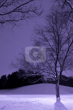 To use this stock image in your creative project, please select the size you need over to the right and click the "Add to Cart" button.
Your downloaded image will come with the Cutcaster watermark removed so don’t worry about the watermark you see on this page. Light Post behind the Tree, Winter Scene stock photo, Vertical Shot of Light Post behind the Tree, Winter Scene by Mehmet Dilsiz