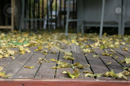 To use this stock image in your creative project, please select the size you need over to the right and click the "Add to Cart" button.
Your downloaded image will come with the Cutcaster watermark removed so don’t worry about the watermark you see on this page. Close up on the Leaves Falling stock photo, Close Up - Leaves on the Deck by Mehmet Dilsiz
