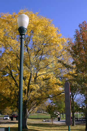 To use this stock image in your creative project, please select the size you need over to the right and click the "Add to Cart" button.
Your downloaded image will come with the Cutcaster watermark removed so don’t worry about the watermark you see on this page. Trees and the Light Post in the Park stock photo, YellowTrees and the Light Post in the Park by Mehmet Dilsiz