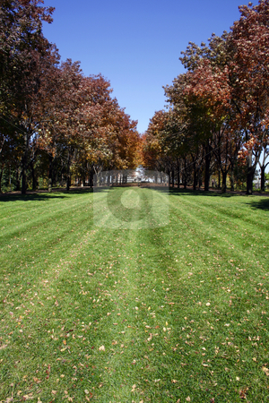 To use this stock image in your creative project, please select the size you need over to the right and click the "Add to Cart" button.
Your downloaded image will come with the Cutcaster watermark removed so don’t worry about the watermark you see on this page. Trees in a Park stock photo, Trees in downtown St. Louis Park by Mehmet Dilsiz