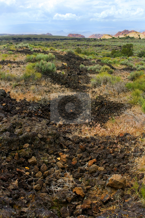 To use this stock image in your creative project, please select the size you need over to the right and click the "Add to Cart" button.
Your downloaded image will come with the Cutcaster watermark removed so don’t worry about the watermark you see on this page. Snow Canyon - Utah stock photo, Snow Canyon in St. George, Utah - Close up on the Rocks by Mehmet Dilsiz