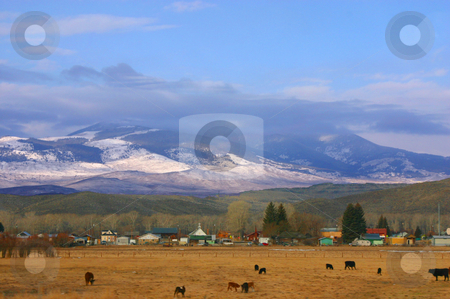 To use this stock image in your creative project, please select the size you need over to the right and click the "Add to Cart" button.
Your downloaded image will come with the Cutcaster watermark removed so don’t worry about the watermark you see on this page. Countryside - Drive by Shooting stock photo, Drive by Shooting - The Countryside by Mehmet Dilsiz