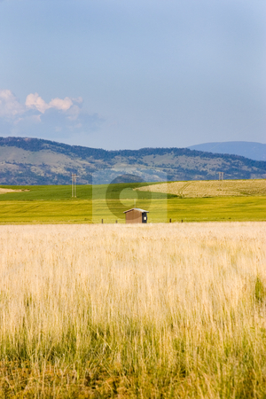 To use this stock image in your creative project, please select the size you need over to the right and click the "Add to Cart" button.
Your downloaded image will come with the Cutcaster watermark removed so don’t worry about the watermark you see on this page. Field in Helena with a Shed and Mountains on the Background stock photo, Field in Helena Montana with bushes and Mountains on the Background by Mehmet Dilsiz