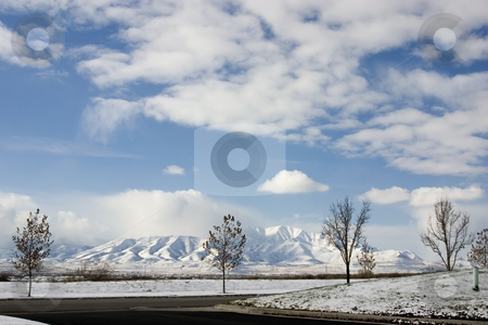 To use this stock image in your creative project, please select the size you need over to the right and click the "Add to Cart" button.
Your downloaded image will come with the Cutcaster watermark removed so don’t worry about the watermark you see on this page. Trees, Snow and the Mountains stock photo, Winter in Utah with trees, snow and the mountains by Mehmet Dilsiz