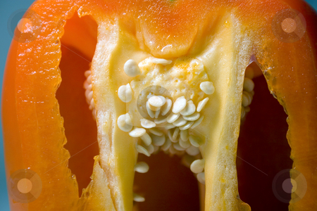 To use this stock image in your creative project, please select the size you need over to the right and click the "Add to Cart" button.
Your downloaded image will come with the Cutcaster watermark removed so don’t worry about the watermark you see on this page. Half Cut Orange Pepper stock photo, Close up on a Half Cut Orange Pepper by Mehmet Dilsiz