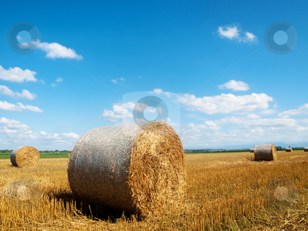 To use this stock image in your creative project, please select the size you need over to the right and click the "Add to Cart" button.
Your downloaded image will come with the Cutcaster watermark removed so don’t worry about the watermark you see on this page. Countryside landscape with bales of hay stock photo, Scenic landscape of a beautiful freshly cut wheat field with haystacks under blue sky with clouds in southern France by Laurent Dambies