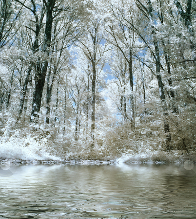 To use this stock image in your creative project, please select the size you need over to the right and click the "Add to Cart" button.
Your downloaded image will come with the Cutcaster watermark removed so don’t worry about the watermark you see on this page. Infrared forest stock photo, Infrared panoramic picture of a beautiful forest with water reflection by Laurent Dambies