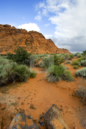 To use this stock image in your creative project, please select the size you need over to the right and click the "Add to Cart" button.
Your downloaded image will come with the Cutcaster watermark removed so don’t worry about the watermark you see on this page. Snow Canyon - Utah stock photo, Snow Canyon in St. George, Utah by Mehmet Dilsiz