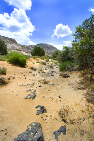 To use this stock image in your creative project, please select the size you need over to the right and click the "Add to Cart" button.
Your downloaded image will come with the Cutcaster watermark removed so don’t worry about the watermark you see on this page. Path to the Redrock Mountains in Snow Canyon - Utah stock photo, Snow Canyon in St. George, Utah by Mehmet Dilsiz
