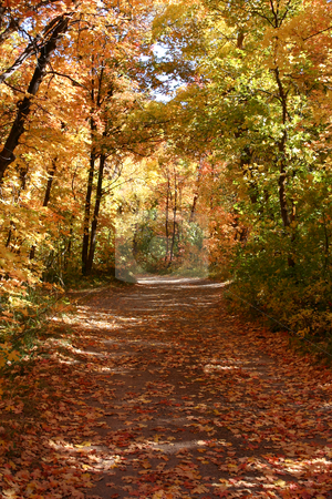 To use this stock image in your creative project, please select the size you need over to the right and click the "Add to Cart" button.
Your downloaded image will come with the Cutcaster watermark removed so don’t worry about the watermark you see on this page. Down the Fall Path stock photo, Down the Fall Path - East Canyon Reservoir by Mehmet Dilsiz