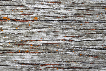 To use this stock image in your creative project, please select the size you need over to the right and click the "Add to Cart" button.
Your downloaded image will come with the Cutcaster watermark removed so don’t worry about the watermark you see on this page. Old weathered wood texture natural background. stock photo, Old weathered wood texture natural background. by Stephen Rees