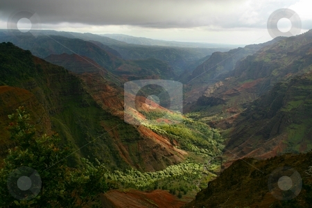 To use this stock image in your creative project, please select the size you need over to the right and click the "Add to Cart" button.
Your downloaded image will come with the Cutcaster watermark removed so don’t worry about the watermark you see on this page. Waimea Canyon stock photo, by Rhys Marsh