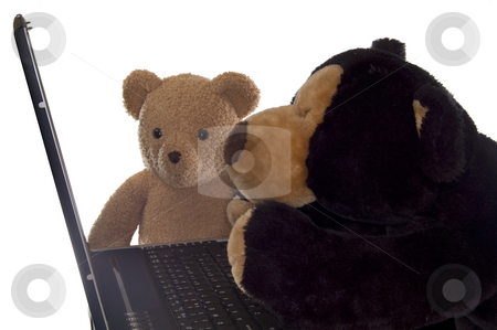 To use this stock image in your creative project, please select the size you need over to the right and click the "Add to Cart" button.
Your downloaded image will come with the Cutcaster watermark removed so don’t worry about the watermark you see on this page. Teddy bears and computer stock photo, Two teddy bears working at a laptop, isolated on white. by Jeff Carson