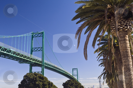 To use this stock image in your creative project, please select the size you need over to the right and click the "Add to Cart" button.
Your downloaded image will come with the Cutcaster watermark removed so don’t worry about the watermark you see on this page. Vincent Thomas Bridge and Palms, Los Angeles Harbor stock photo, Vincent Thomas Bridge soars over the main channel between the San Pedro area of Los Angeles and Terminal Island. by Bart Everett