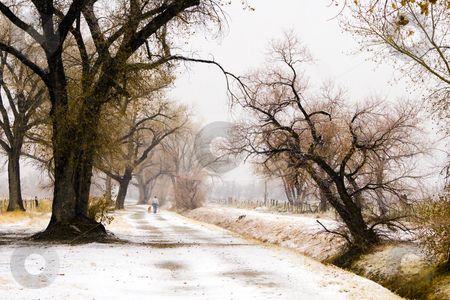 To use this stock image in your creative project, please select the size you need over to the right and click the "Add to Cart" button.
Your downloaded image will come with the Cutcaster watermark removed so don’t worry about the watermark you see on this page. Snowy Dog Walk stock photo, Man walks his dog as snow falls along a road in California's Owens Valley by Bart Everett