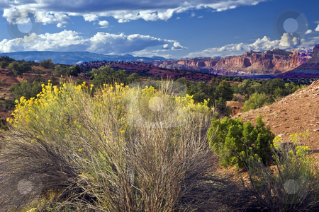 To use this stock image in your creative project, please select the size you need over to the right and click the "Add to Cart" button.
Your downloaded image will come with the Cutcaster watermark removed so don’t worry about the watermark you see on this page. Capitol Reef Bluff stock photo, Bluffs lie beyond desert foliage in Capitol Reef National Park. by Bart Everett