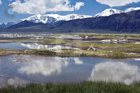 To use this stock image in your creative project, please select the size you need over to the right and click the "Add to Cart" button.
Your downloaded image will come with the Cutcaster watermark removed so don’t worry about the watermark you see on this page. Mono Lake Pools stock photo, Shallow pools and grasses not the seldom-visited north side of Mono Lake in California by Bart Everett
