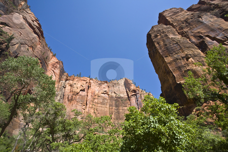 To use this stock image in your creative project, please select the size you need over to the right and click the "Add to Cart" button.
Your downloaded image will come with the Cutcaster watermark removed so don’t worry about the watermark you see on this page. Zion Bluffs stock photo, Zion bluffs soar in stark contrast to a deep blue sky by Bart Everett