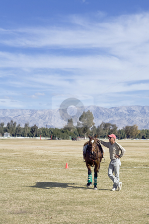 To use this stock image in your creative project, please select the size you need over to the right and click the "Add to Cart" button.
Your downloaded image will come with the Cutcaster watermark removed so don’t worry about the watermark you see on this page. Groom With Fresh Horse stock photo, Groom Antonio Soto waits for his polo player to claim a fresh horse. by Bart Everett