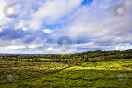 To use this stock image in your creative project, please select the size you need over to the right and click the "Add to Cart" button.
Your downloaded image will come with the Cutcaster watermark removed so don’t worry about the watermark you see on this page. Clouds Over Maui Farm Land stock photo, Early morning clouds glow over the lush landscape of East Maui near Hana by Bart Everett