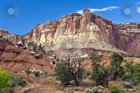 To use this stock image in your creative project, please select the size you need over to the right and click the "Add to Cart" button.
Your downloaded image will come with the Cutcaster watermark removed so don’t worry about the watermark you see on this page. Capitol Reef Bluff stock photo, Bluff rises above a wash in Capitol Reef National Park, Utah. by Bart Everett