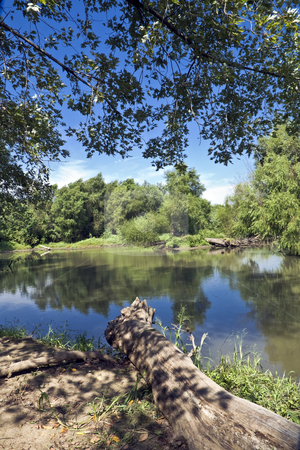 To use this stock image in your creative project, please select the size you need over to the right and click the "Add to Cart" button.
Your downloaded image will come with the Cutcaster watermark removed so don’t worry about the watermark you see on this page. Clinton Lake Wilderness stock photo, Dense foliage surrounds an arm of Clinton Lake in Kansas by Bart Everett