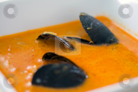 To use this stock image in your creative project, please select the size you need over to the right and click the "Add to Cart" button.
Your downloaded image will come with the Cutcaster watermark removed so don’t worry about the watermark you see on this page. Mussel soup stock photo, Close-up of fresh mussel soup in white bowl by Natalia Banegas