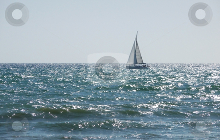 To use this stock image in your creative project, please select the size you need over to the right and click the "Add to Cart" button.
Your downloaded image will come with the Cutcaster watermark removed so don’t worry about the watermark you see on this page. Sail Boat In Sea On Brighton Coast stock photo, A sail boat just of the Brighton coast. by Chris Harvey
