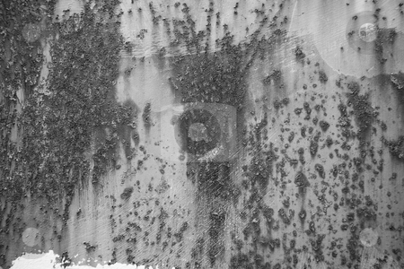 To use this stock image in your creative project, please select the size you need over to the right and click the "Add to Cart" button.
Your downloaded image will come with the Cutcaster watermark removed so don’t worry about the watermark you see on this page. Fort Worden Bunker stock photo, Fort Worden military bunker in Port Townsend Washington. by Travis Manley