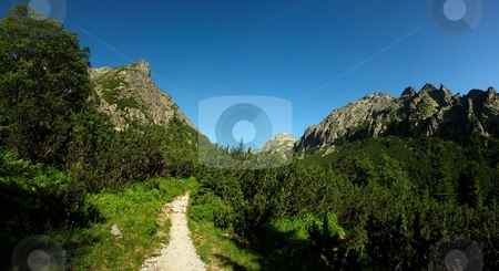 To use this stock image in your creative project, please select the size you need over to the right and click the "Add to Cart" button.
Your downloaded image will come with the Cutcaster watermark removed so don’t worry about the watermark you see on this page. Walking path in mountains stock photo, Walking path in mountains with green knee timber and blue sky by Juraj Kovacik