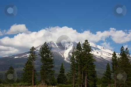To use this stock image in your creative project, please select the size you need over to the right and click the "Add to Cart" button.
Your downloaded image will come with the Cutcaster watermark removed so don’t worry about the watermark you see on this page. Green forest with Mt Shasta in the background. stock photo, Mt. Shasta by Gregory Dean