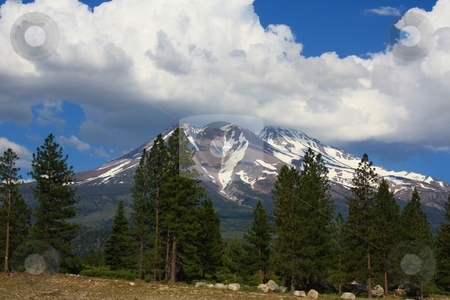 To use this stock image in your creative project, please select the size you need over to the right and click the "Add to Cart" button.
Your downloaded image will come with the Cutcaster watermark removed so don’t worry about the watermark you see on this page. Green forest with Mt Shasta in the background. stock photo, Mt. Shasta by Gregory Dean
