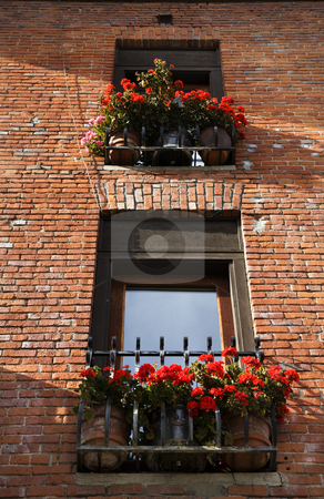 To use this stock image in your creative project, please select the size you need over to the right and click the "Add to Cart" button.
Your downloaded image will come with the Cutcaster watermark removed so don’t worry about the watermark you see on this page. Red Geraniums Brick Windows Leavenworth Washington stock photo, Red Geraniums Red Brick Building Windows Leavenworth Washington, October 10, 2008 by William Perry