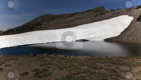 To use this stock image in your creative project, please select the size you need over to the right and click the "Add to Cart" button.
Your downloaded image will come with the Cutcaster watermark removed so don’t worry about the watermark you see on this page. Frozen Lake Reflection Mount Rainier Sunrise Snow Mountain stock photo, Frozen Lake Reflection Mount Rainier Sunrise Snow Mountain by William Perry