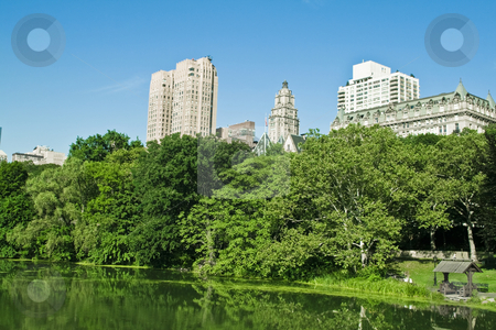 To use this stock image in your creative project, please select the size you need over to the right and click the "Add to Cart" button.
Your downloaded image will come with the Cutcaster watermark removed so don’t worry about the watermark you see on this page. Skyscrapers and trees stock photo, Skyscrapers in the back and trees in the front by Fredrik Elfdahl