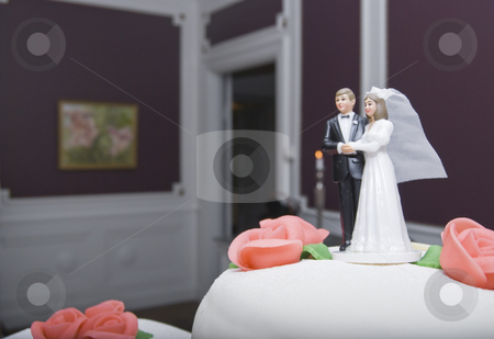 To use this stock image in your creative project, please select the size you need over to the right and click the "Add to Cart" button.
Your downloaded image will come with the Cutcaster watermark removed so don’t worry about the watermark you see on this page. Wdding stock photo, A wedding couple by Fredrik Elfdahl