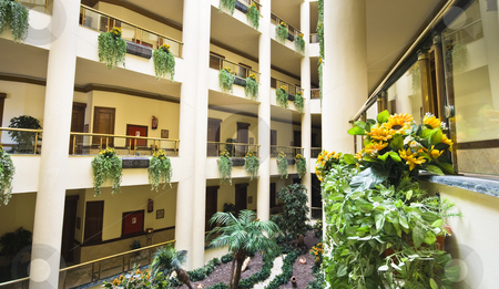 To use this stock image in your creative project, please select the size you need over to the right and click the "Add to Cart" button.
Your downloaded image will come with the Cutcaster watermark removed so don’t worry about the watermark you see on this page. Hotel garden stock photo, A hotel garden inside by Fredrik Elfdahl